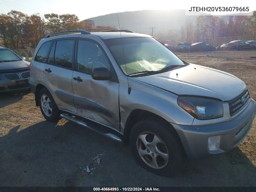 2003 Toyota Rav4 VIN: JTEHH20V536079665 Lot: 40664993