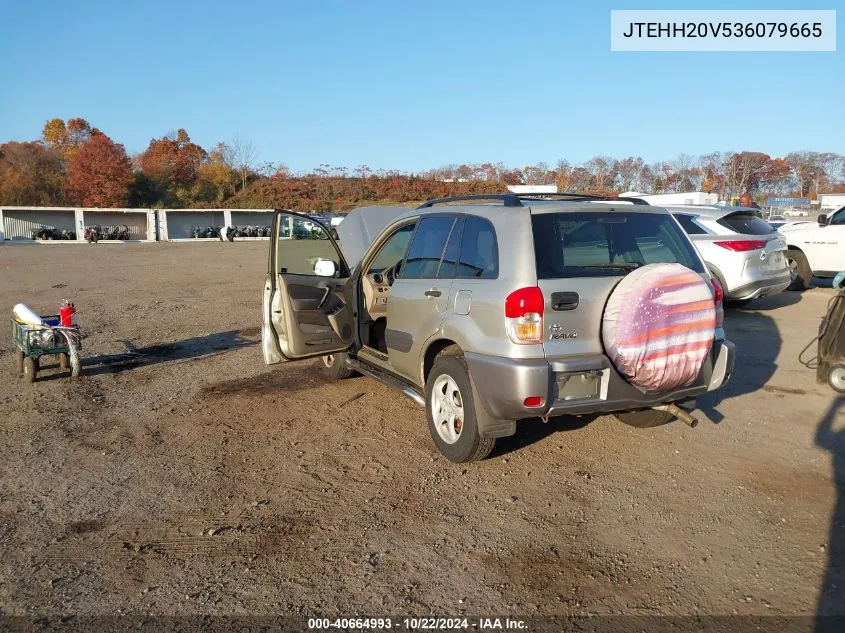 2003 Toyota Rav4 VIN: JTEHH20V536079665 Lot: 40664993