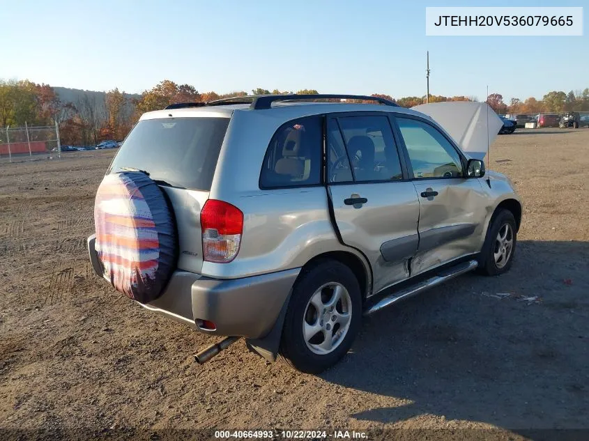 2003 Toyota Rav4 VIN: JTEHH20V536079665 Lot: 40664993