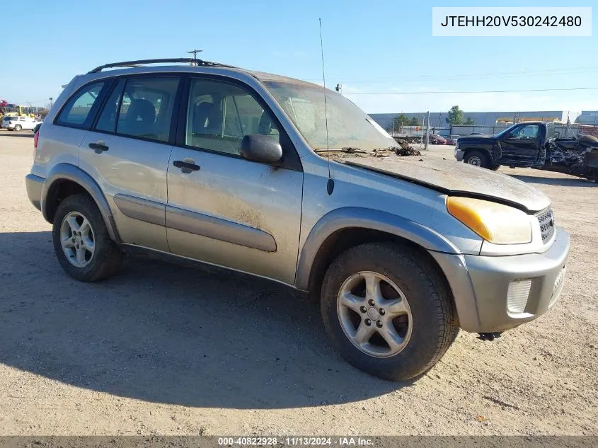 2003 Toyota Rav4 VIN: JTEHH20V530242480 Lot: 40822928