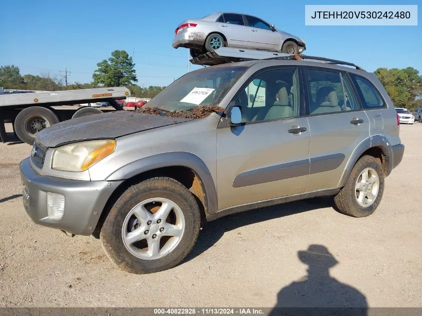 2003 Toyota Rav4 VIN: JTEHH20V530242480 Lot: 40822928