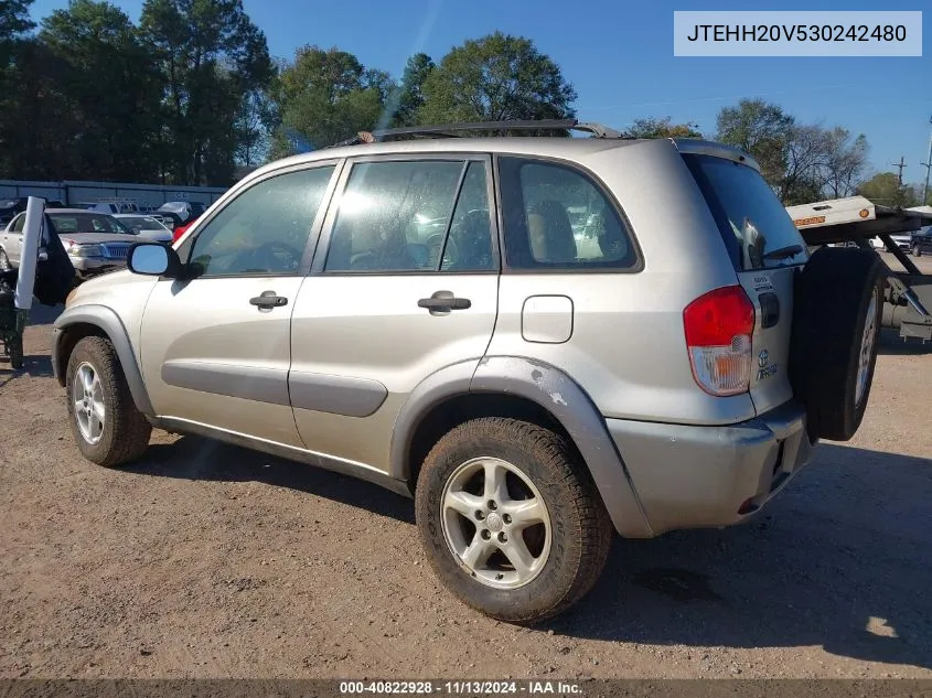 2003 Toyota Rav4 VIN: JTEHH20V530242480 Lot: 40822928