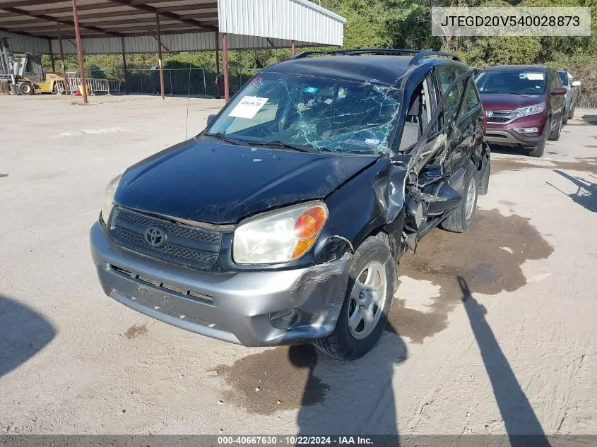 2004 Toyota Rav4 VIN: JTEGD20V540028873 Lot: 40667630