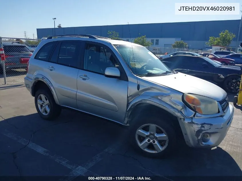 2004 Toyota Rav4 VIN: JTEHD20VX46020981 Lot: 40790328