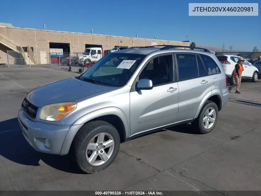 2004 Toyota Rav4 VIN: JTEHD20VX46020981 Lot: 40790328