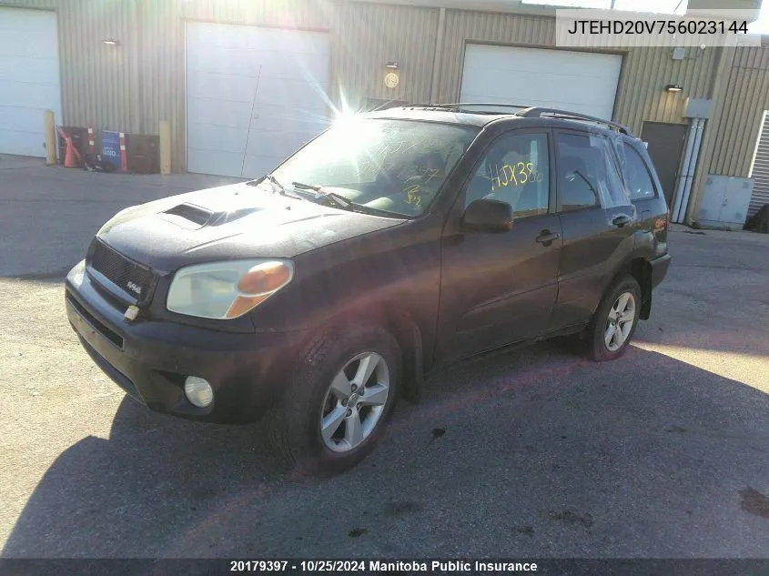 2005 Toyota Rav4 VIN: JTEHD20V756023144 Lot: 20179397