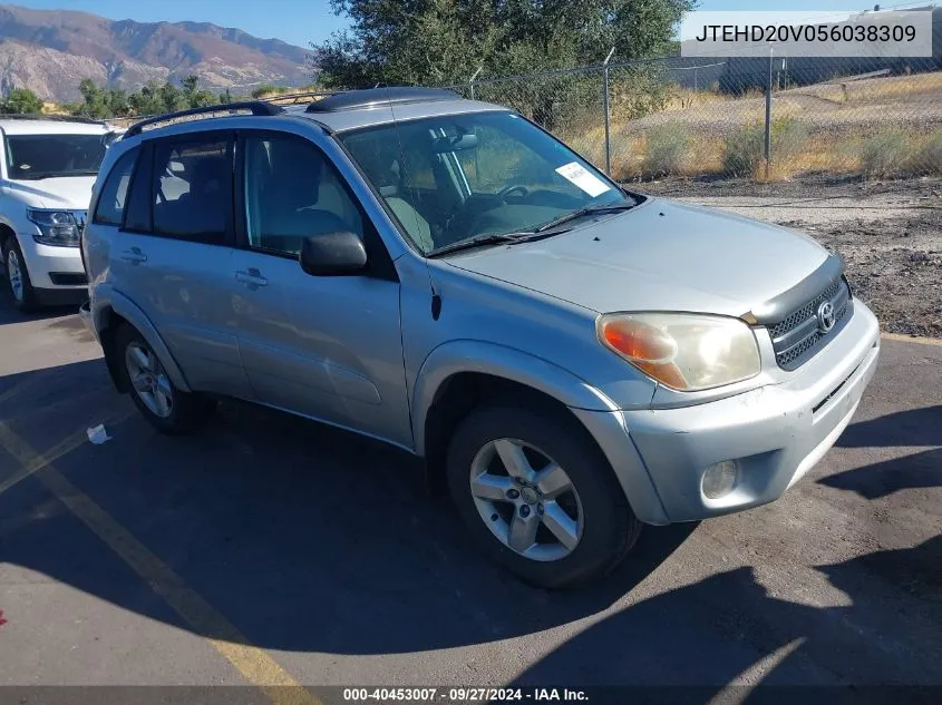 2005 Toyota Rav4 VIN: JTEHD20V056038309 Lot: 40453007