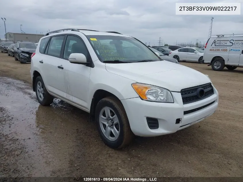 2T3BF33V09W022217 2009 Toyota Rav4