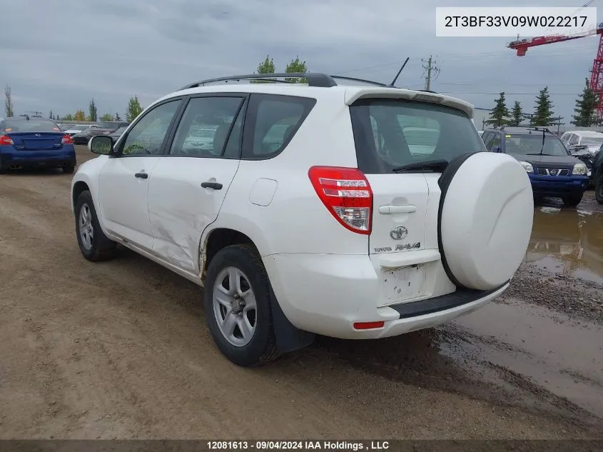 2T3BF33V09W022217 2009 Toyota Rav4