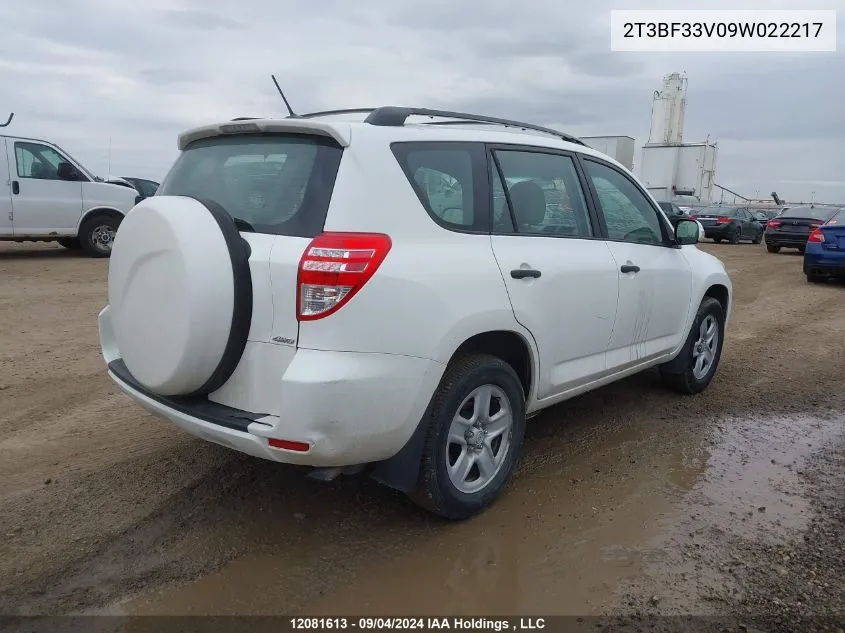 2T3BF33V09W022217 2009 Toyota Rav4