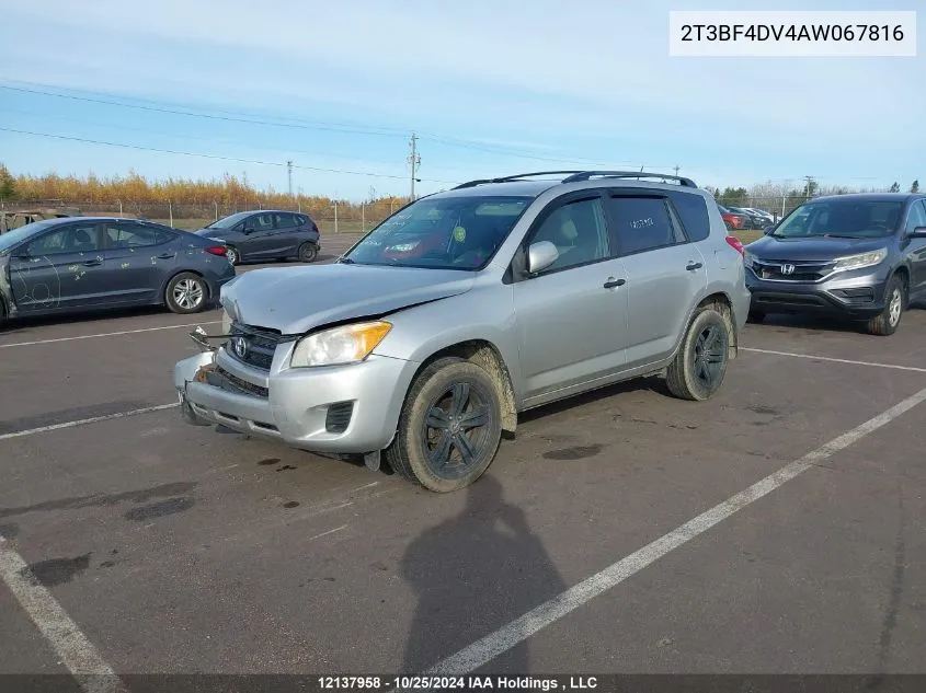 2010 Toyota Rav4 VIN: 2T3BF4DV4AW067816 Lot: 12137958