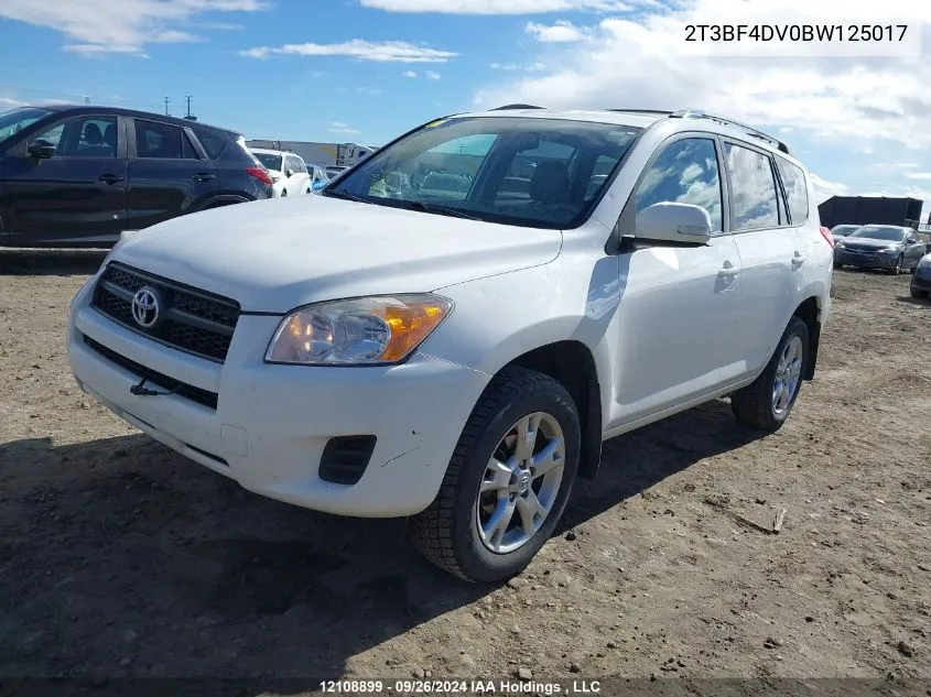 2011 Toyota Rav4 VIN: 2T3BF4DV0BW125017 Lot: 12108899