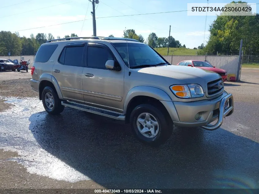 2002 Toyota Sequoia Sr5 VIN: 5TDZT34A42S060429 Lot: 40473049