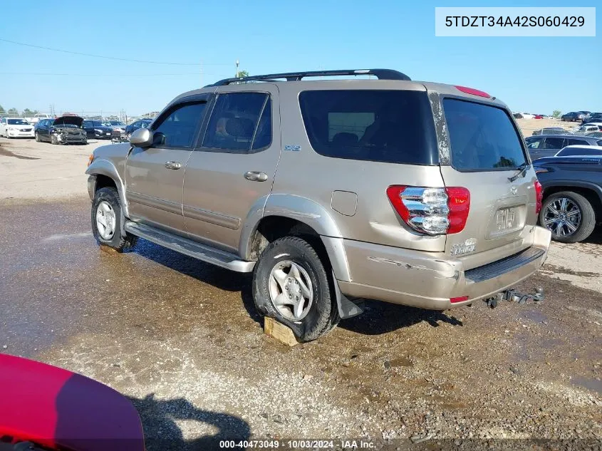 2002 Toyota Sequoia Sr5 VIN: 5TDZT34A42S060429 Lot: 40473049