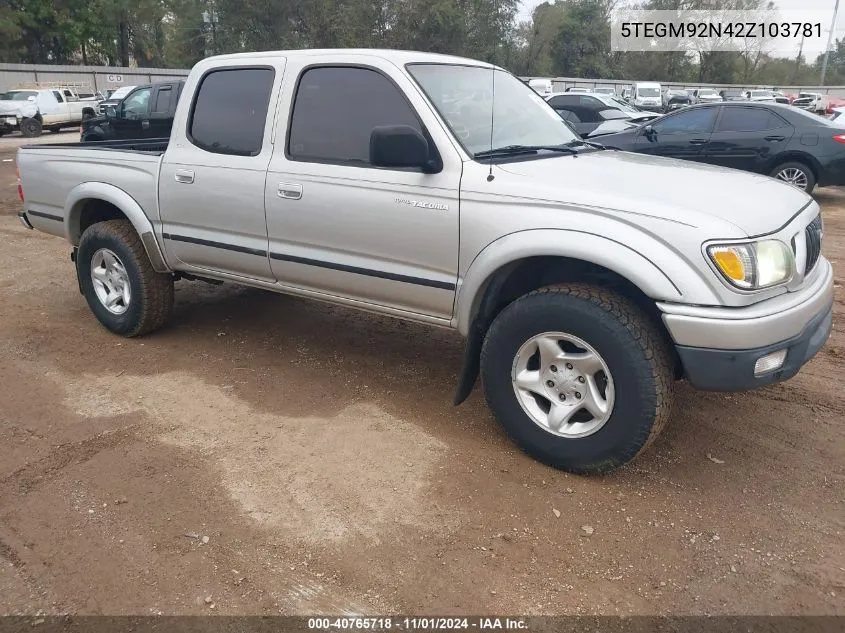 2002 Toyota Tacoma Prerunner VIN: 5TEGM92N42Z103781 Lot: 40765718