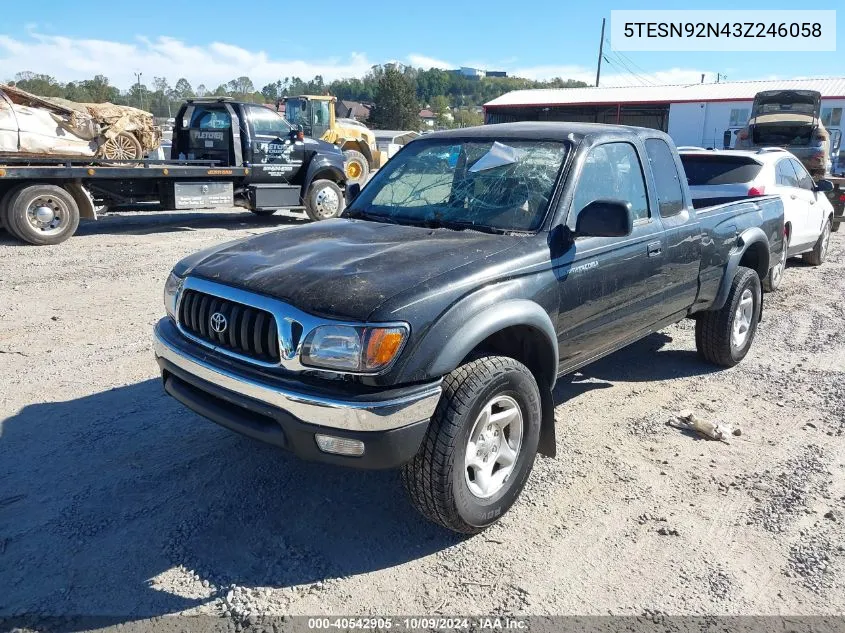 2003 Toyota Tacoma Prerunner V6 VIN: 5TESN92N43Z246058 Lot: 40542905