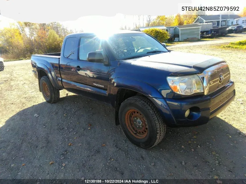 2005 Toyota Tacoma Base V6 VIN: 5TEUU42N85Z079592 Lot: 12130188