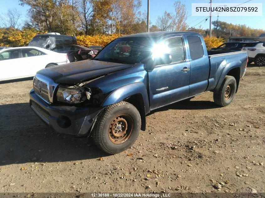 2005 Toyota Tacoma Base V6 VIN: 5TEUU42N85Z079592 Lot: 12130188