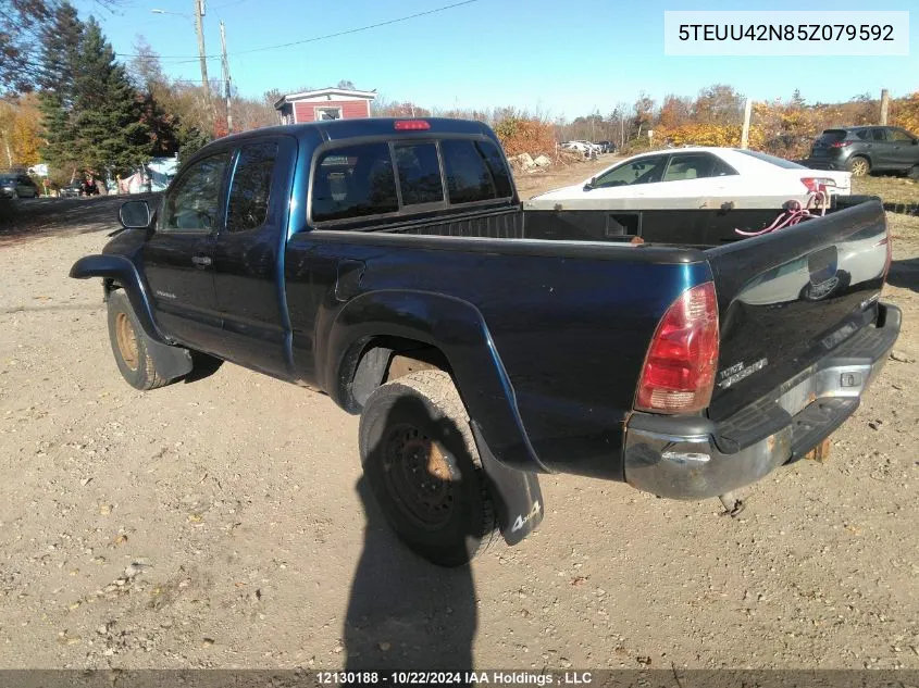 2005 Toyota Tacoma Base V6 VIN: 5TEUU42N85Z079592 Lot: 12130188