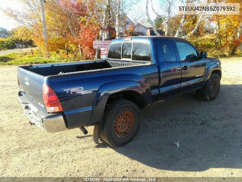 2005 Toyota Tacoma Base V6 VIN: 5TEUU42N85Z079592 Lot: 12130188