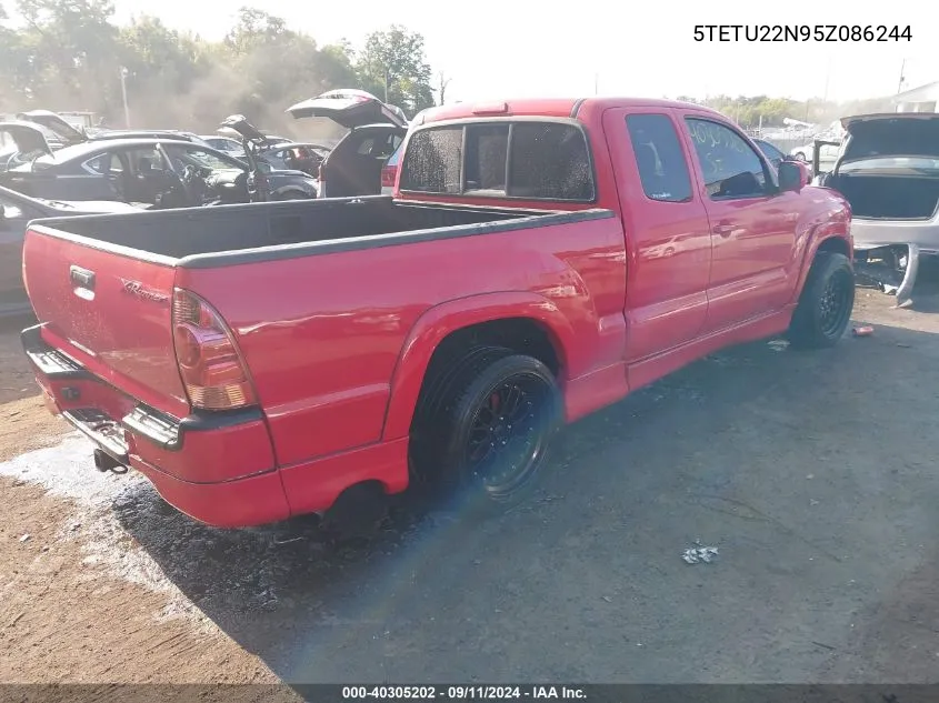 5TETU22N95Z086244 2005 Toyota Tacoma V6