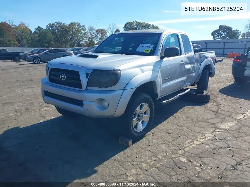 2005 Toyota Tacoma Prerunner Access Cab VIN: 5TETU62N85Z125204 Lot: 40853698