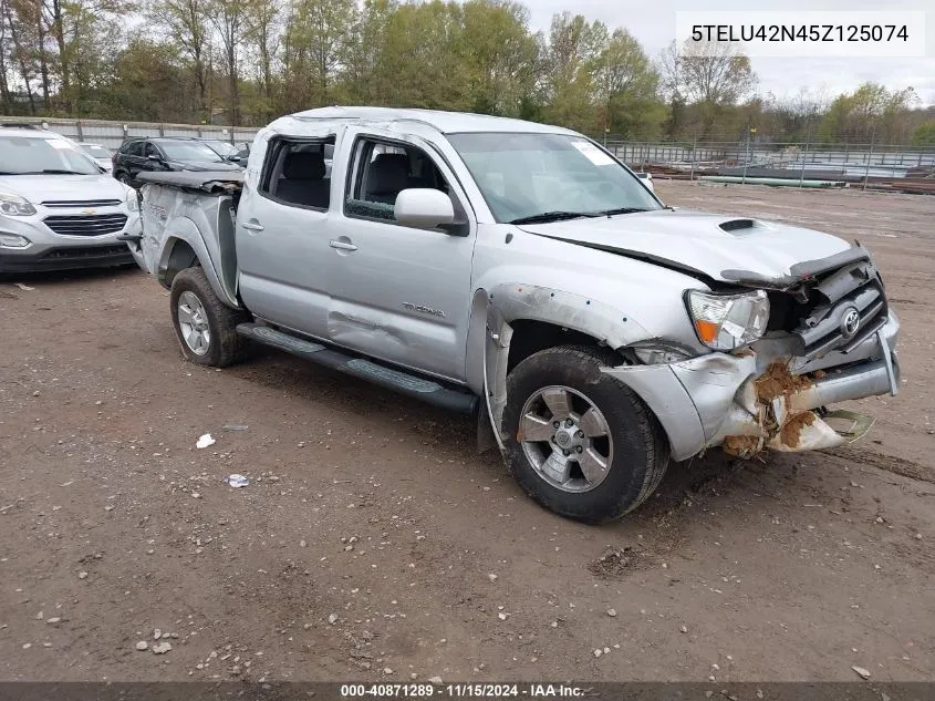 2005 Toyota Tacoma Double Cab VIN: 5TELU42N45Z125074 Lot: 40871289