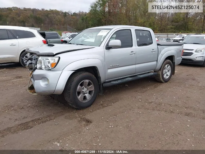 2005 Toyota Tacoma Double Cab VIN: 5TELU42N45Z125074 Lot: 40871289