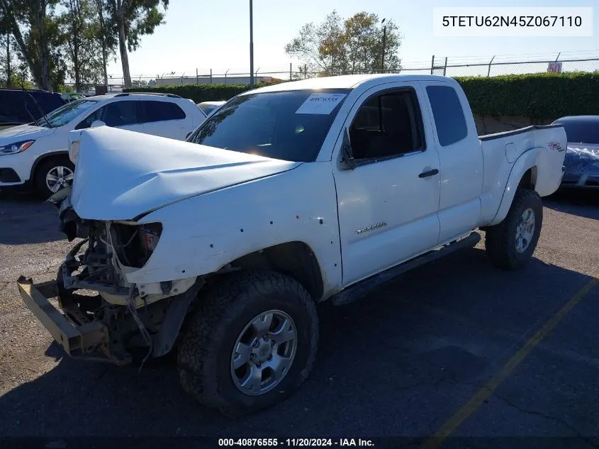 2005 Toyota Tacoma Prerunner Access Cab VIN: 5TETU62N45Z067110 Lot: 40876555