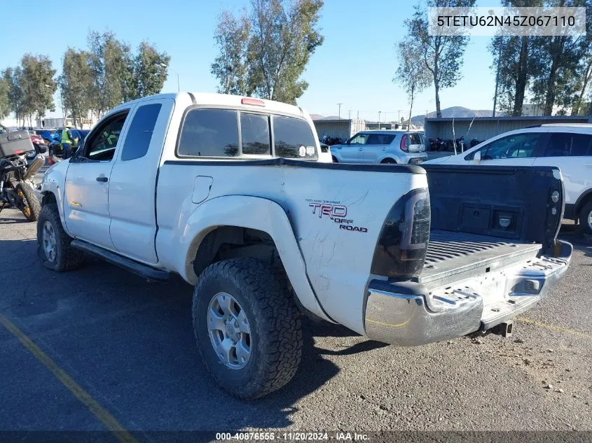 2005 Toyota Tacoma Prerunner Access Cab VIN: 5TETU62N45Z067110 Lot: 40876555