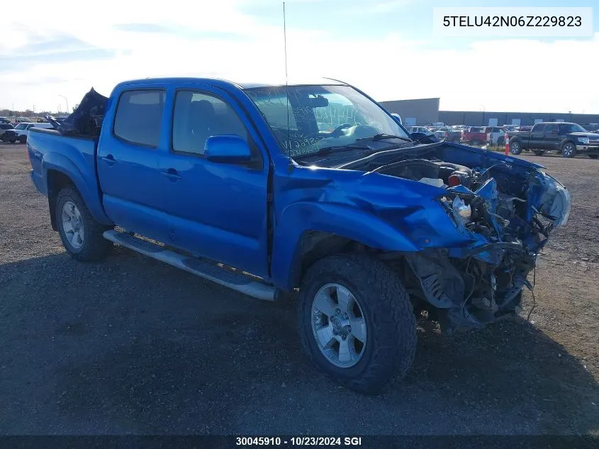 2006 Toyota Tacoma Double Cab VIN: 5TELU42N06Z229823 Lot: 30045910