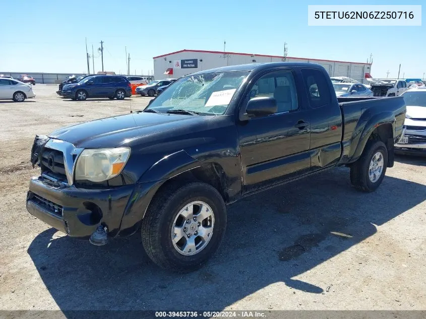 2006 Toyota Tacoma Prerunner V6 VIN: 5TETU62N06Z250716 Lot: 39453736