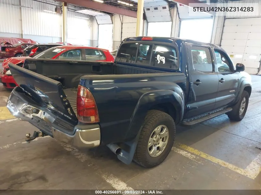 2006 Toyota Tacoma Base V6 VIN: 5TELU42N36Z314283 Lot: 40256691