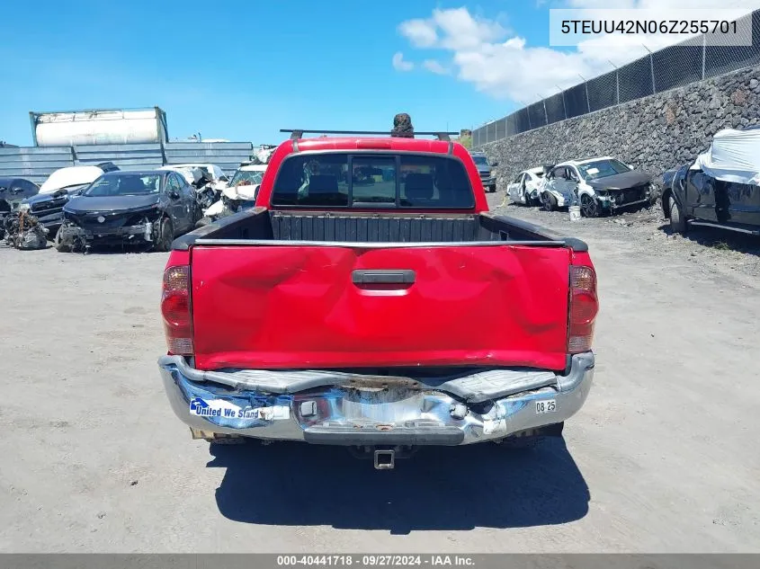 2006 Toyota Tacoma Base V6 VIN: 5TEUU42N06Z255701 Lot: 40441718