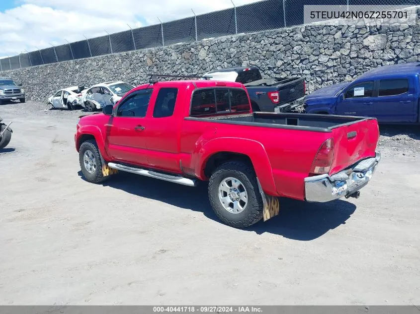 2006 Toyota Tacoma Base V6 VIN: 5TEUU42N06Z255701 Lot: 40441718