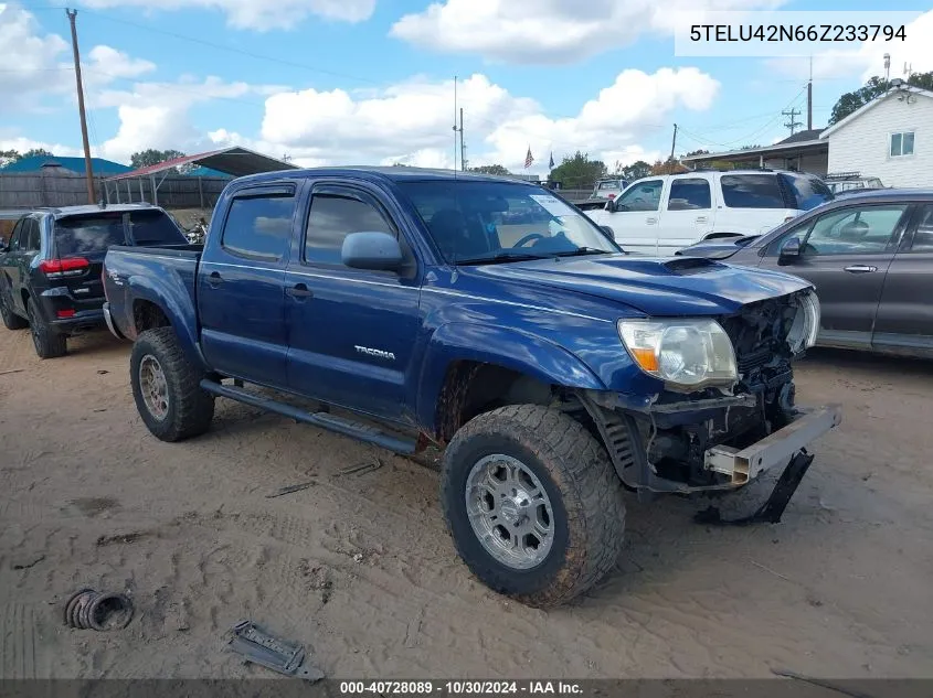 2006 Toyota Tacoma Double Cab VIN: 5TELU42N66Z233794 Lot: 40728089