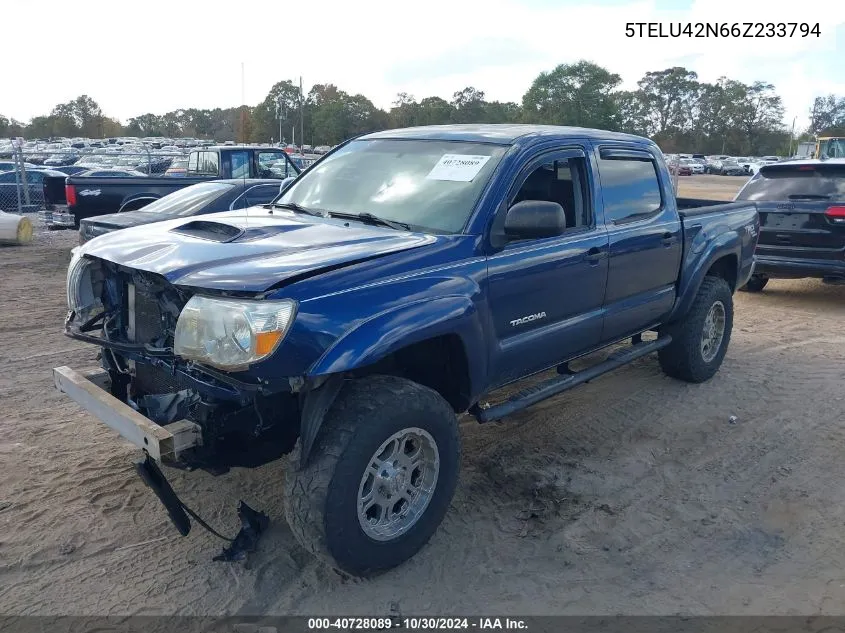 2006 Toyota Tacoma Double Cab VIN: 5TELU42N66Z233794 Lot: 40728089