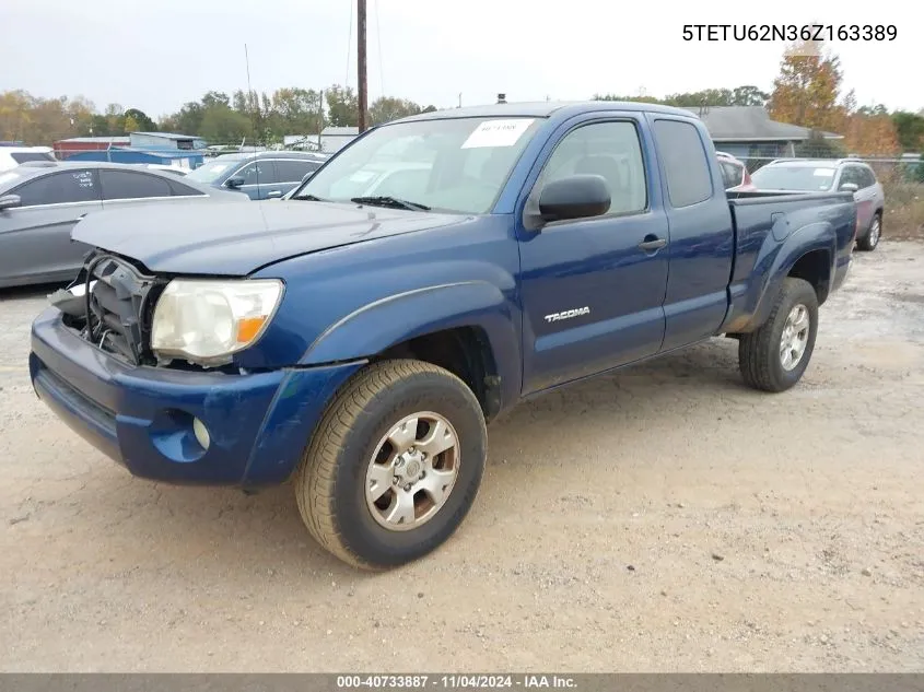 2006 Toyota Tacoma Prerunner Access Cab VIN: 5TETU62N36Z163389 Lot: 40733887