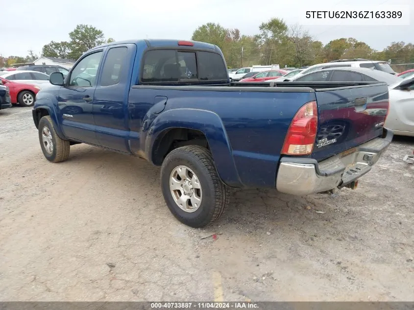 2006 Toyota Tacoma Prerunner Access Cab VIN: 5TETU62N36Z163389 Lot: 40733887