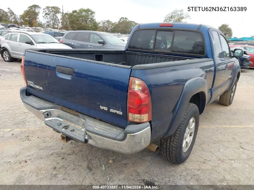 2006 Toyota Tacoma Prerunner Access Cab VIN: 5TETU62N36Z163389 Lot: 40733887