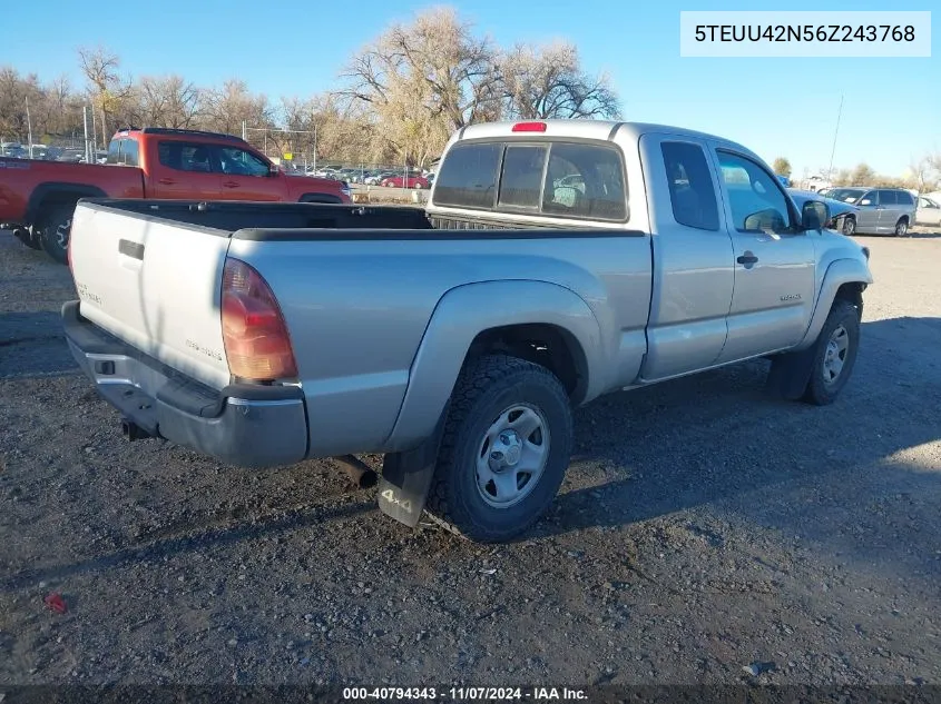 5TEUU42N56Z243768 2006 Toyota Tacoma Base V6