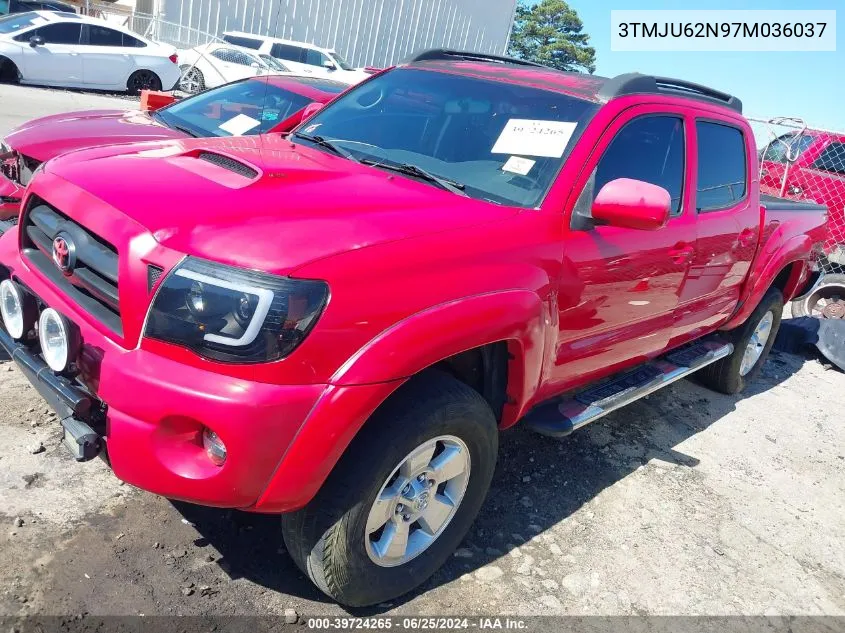 2007 Toyota Tacoma Prerunner V6 VIN: 3TMJU62N97M036037 Lot: 39724265