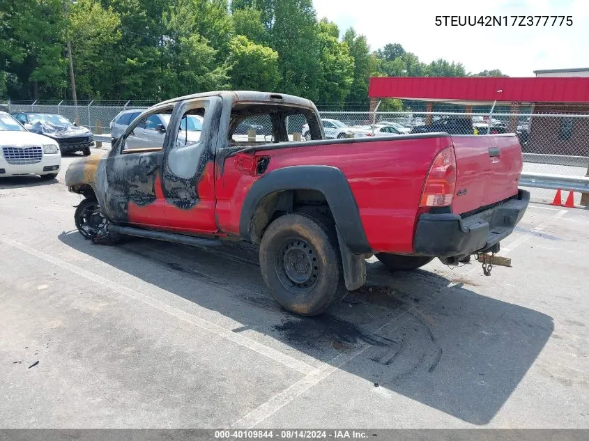 2007 Toyota Tacoma Base V6 VIN: 5TEUU42N17Z377775 Lot: 40109844