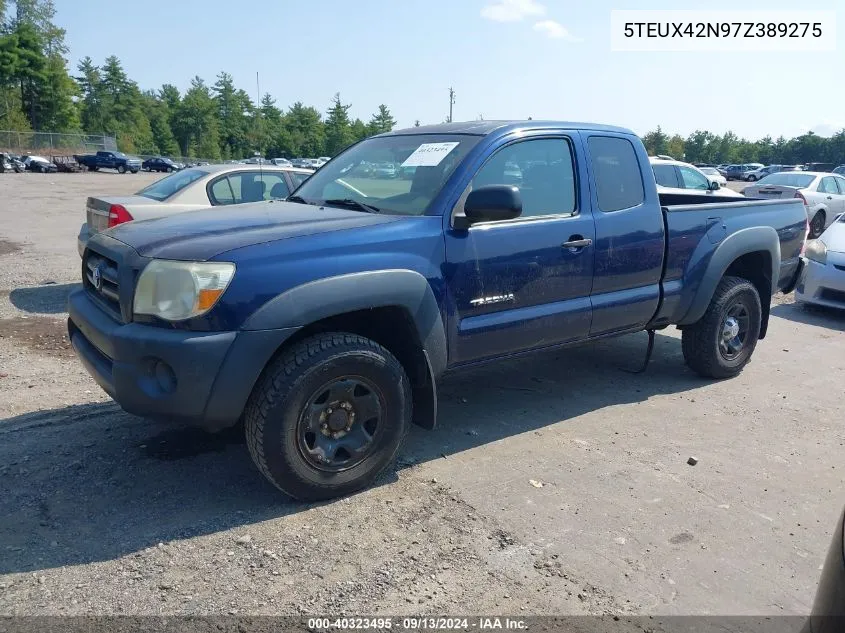 2007 Toyota Tacoma VIN: 5TEUX42N97Z389275 Lot: 40323495