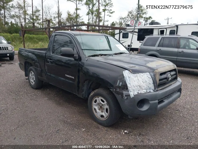 2007 Toyota Tacoma VIN: 5TENX22N77Z379675 Lot: 40547777