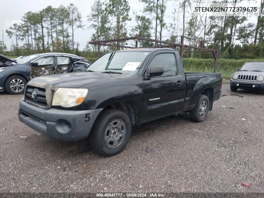 2007 Toyota Tacoma VIN: 5TENX22N77Z379675 Lot: 40547777