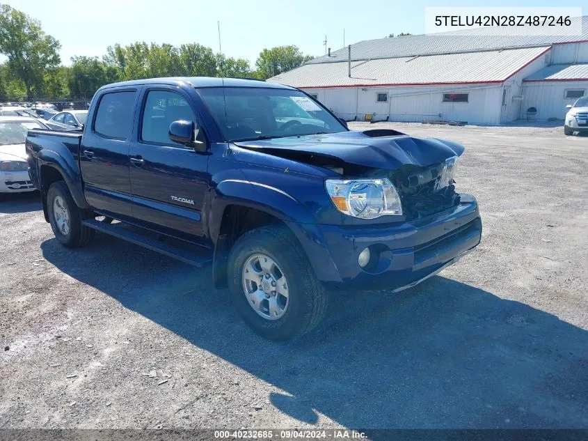 2008 Toyota Tacoma Double Cab VIN: 5TELU42N28Z487246 Lot: 40232685