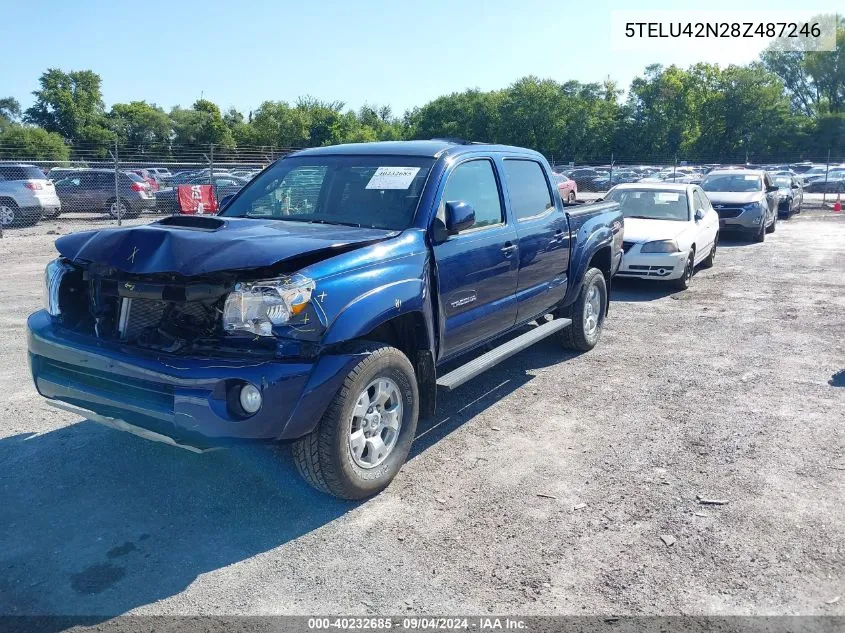 2008 Toyota Tacoma Double Cab VIN: 5TELU42N28Z487246 Lot: 40232685