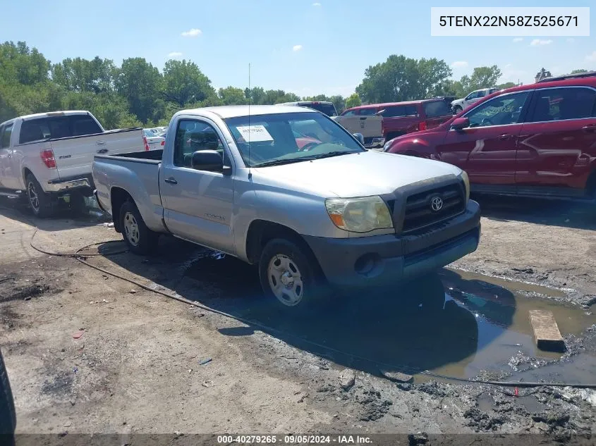 2008 Toyota Tacoma VIN: 5TENX22N58Z525671 Lot: 40279265