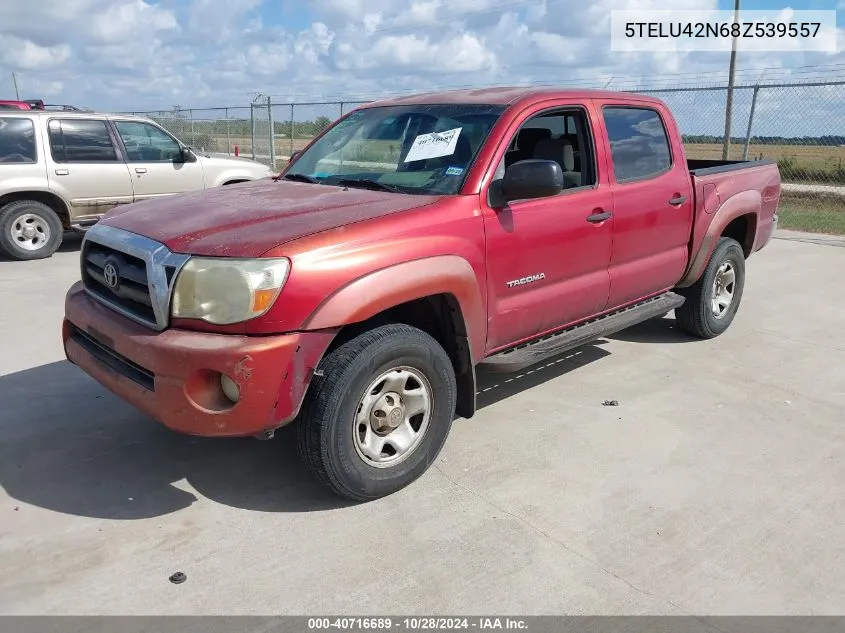 2008 Toyota Tacoma Base V6 VIN: 5TELU42N68Z539557 Lot: 40716689